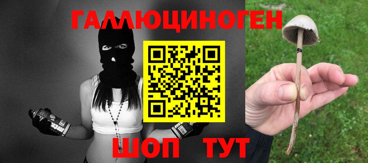 Псилоцибиновые грибы мухоморы Приморско-Ахтарск